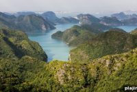 Holistic Therapists Elevate Con Dao Retreats and Wellness Stays