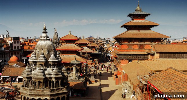 featured 60502