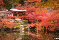 Experience Authentic Japanese Traditions at the Marriott