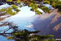 Carmel-by-the-Sea Centennial Celebration: Events & Highlights