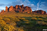 Arizona Summers: Savor Fresh Finds Along the Fresh Food Trail