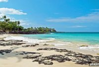 Four Seasons Chef Fest 2026: Full Lineup and Highlights