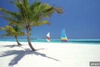 OZEN Luxury Resort Opens Spectacular Underwater Restaurant in Maldives