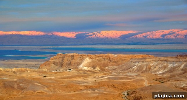 featured 63253