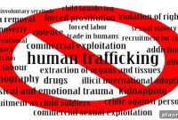 TraffickCam App Empowers Travelers to Help Stop Human Trafficking