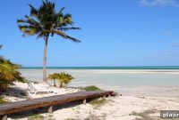 U.S. Airlines Receive Approval to Restart Flights to Cuba