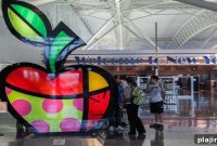 JFK Airport Unveils New Pet Relief Area for Travelers