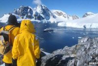 Latest Cruise Ship News and Updates for 2026 Travelers