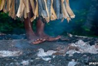 Fiji Firewalking: Inside the Ancient, Thrilling Tradition
