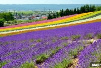 Discover Hokkaido: Top Experiences on Japan’s Northern Island