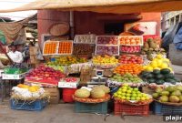 India Food & Tea Tour: Culinary Flavors and Tea Traditions Tour