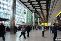 Gourmet Picnic To Go at London Heathrow: Luxury Airport Dining