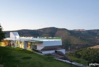 Wine Tours and Vineyard Escapes in Charming Portugal