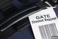 How Checked Bag Fees Reduce Flight Departure Delays