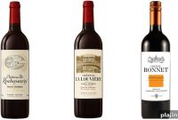 André Lurton Wineries in Bordeaux: Guide to Top Estates and Wines