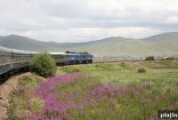 Proposed London-to-Tokyo Train Route: Route, Timeline & Impact