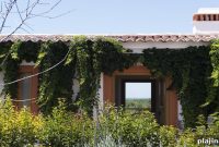 Portugal Wine Trips: Small-Group & Boutique Vineyard Tours