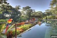 Discover What Makes Costa Rica Irresistible: Top Attractions & Tips