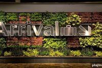 Calming Living Plant Wall at Heathrow Airport to Comfort Travelers