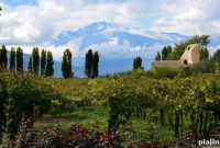 Explore Wine Travel: New Book Series Guides Vineyard Adventures
