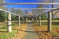 Tanglewood 2026 Season Unveiled: Dates, Highlights & Ticket Info