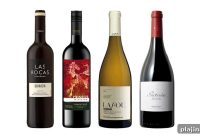 Garnacha Grapes of Spain: Origins, Regions, and Tasting Notes