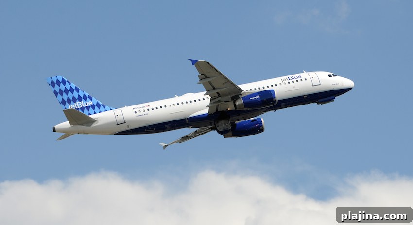 featured 73754