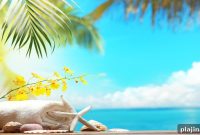 All-Inclusive vs Spa-Inclusive: Which Vacation Is Right for You