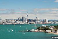 Oyster Farms and Top Beaches to Visit in Auckland