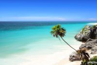 St. Patrick’s Day Celebrations in Riviera Maya: Events & Tips