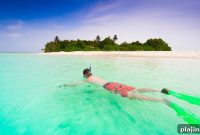 Discover the Maldives: A Tropical Paradise Guide