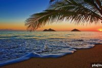 Top Things to Do on Hawai‘i Island: A Visitor’s Guide