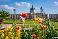Spring in Berlin: Top Spots to See the City in Bloom