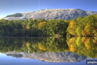 Dinosaurs Roar to Life: Stone Mountain’s New Prehistoric Exhibit