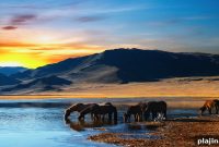 Inside Mongolia: A Traveler’s Guide to Culture, Nature, and Nomads