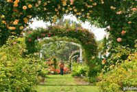 Wine & Roses Healdsburg: Luxury Wine Country Resort Guide