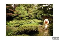 Experience a Japanese Tea Ceremony: A Complete Visitor’s Guide