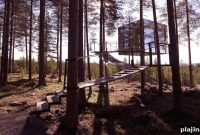 Top Treehouse Hotels for a Unique Night Away