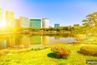 Experience Luxury Living in Tokyo: Top Neighborhoods & Hotels