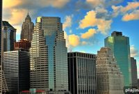 Discover NYC’s New Accessible Web Portal for City Services