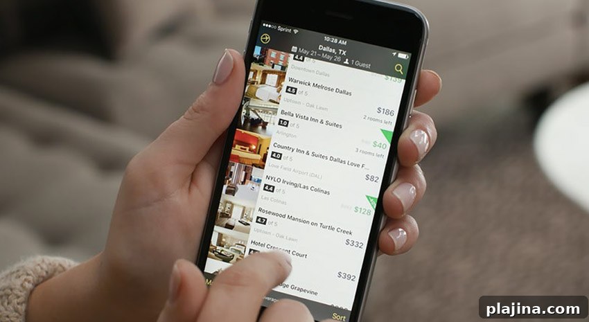 featured 79240
