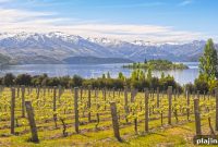 New Zealand In-Depth: Food and Wine Tours Launching Now