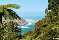 Auckland Travel Guide: Top Things to Do, Eat, and See
