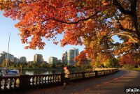 Vancouver Festival Lineup Guide: Top Acts & Events This Season