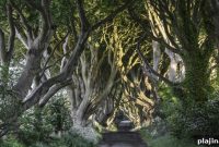 Pop Culture Travel Guide: Top Destinations for Fans and Tourists