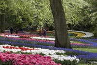 Spring Walking Trip Planner: Routes, Gear & Timing