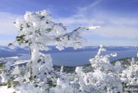 Ski Tahoe: Luxury Slopeside Stays and Upscale Lodging Options