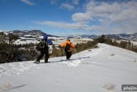 Yellowstone in Winter: Scenic Snowy Landscapes and Wildlife