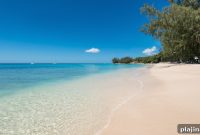 Luxury Beachfront Retreat in Barbados: Private Villa Escape