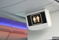 Passengers Complain About the 737 Max’s Tiny Lavatories